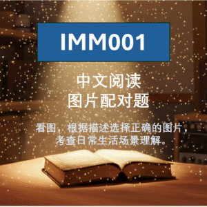 IMM001 中文阅读 图片配对题