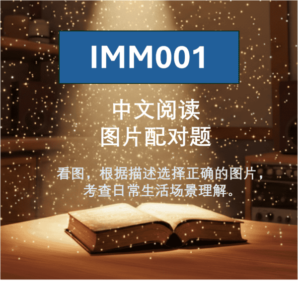 IMM001 中文阅读 图片配对题