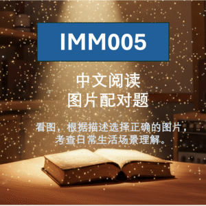 IMM005 中文阅读 图片配对题