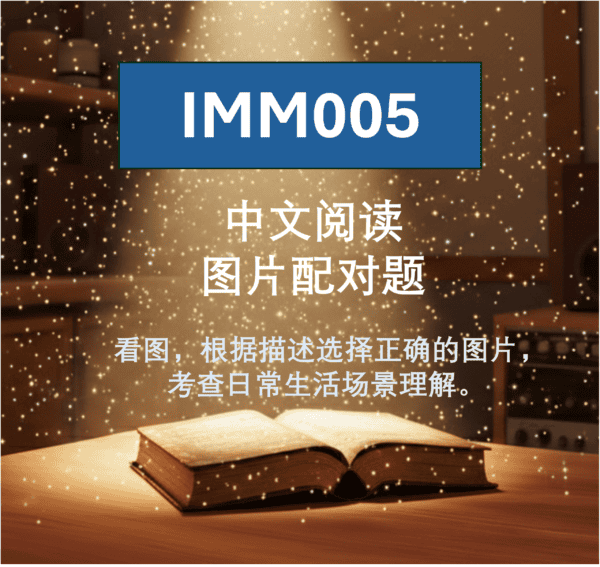 IMM005 中文阅读 图片配对题