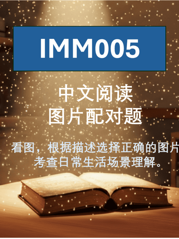 IMM005 中文阅读 图片配对题